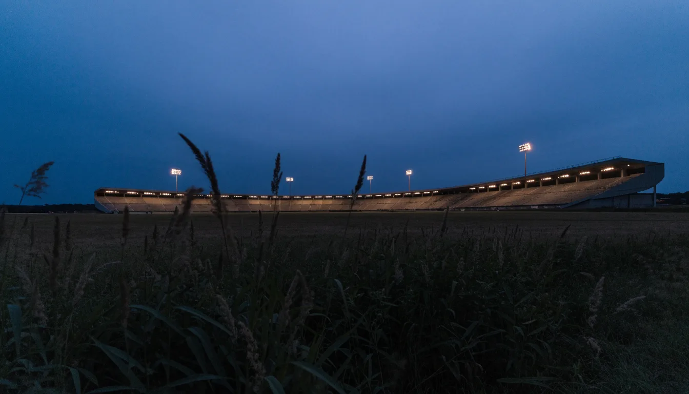 Ein hell beleuchtetes Stadion aus der Ferne in der Dämmerung, im Vordergrund ein Feld mit hohem Gras.